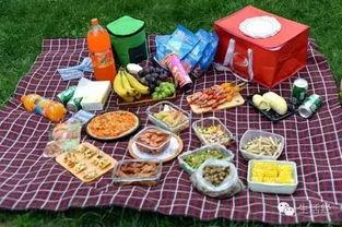 野餐兔网红吃瓜图片,萌态十足引网友热议