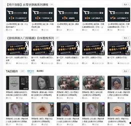 日韩双板教学视频大全下载,全方位解析滑雪技巧与魅力