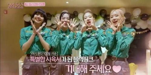 中日韩熊猫女团视频播放