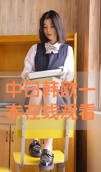 欧美日韩一本视频,一本视频深度解析